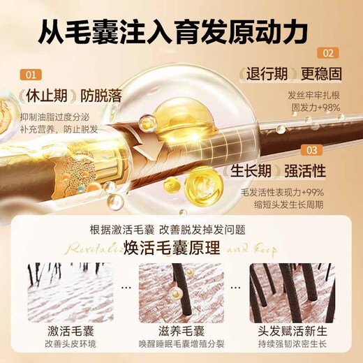 
Tongrentang Anti-Hair Depth Shampoo Ginger Hair Increase Anti-Hair Loss and Control Oils Fluffy Ginger Juice Solid Hair 508g*2 Bottles