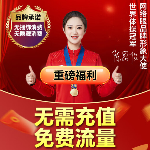 网络眼超清4g太阳能摄像头室外无电无网免流量户外手机远程高清无线监控器360度无死角带夜视全景 【送免费流量】有电无网+双镜头双画面+64G卡