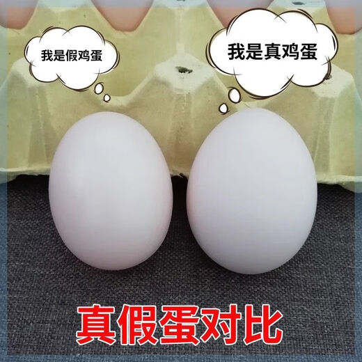 遥绾惜假鸡蛋 母鸡引蛋仿真鸡蛋鸭蛋儿童过家家幼儿园绘画DIY玩具鸡蛋壳 5个塑料空心仿真鸡蛋