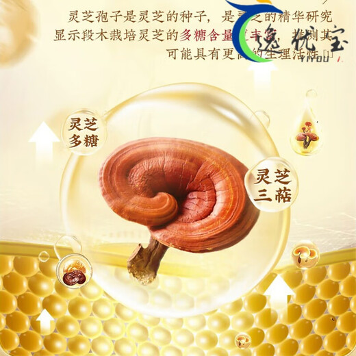 Beijing Tongrentang Tongrentang Certificación de sombrero azul de la pared de ruptura de la pared Ganoderma Polvo para adultos de mediana edad y ancianos Polvo de ganodermia 1 Caja 40G [Box de regalo 1 Box 40G [paquete de experimentos] [Polvo de pared roto en polvo