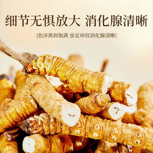 紫蓝花海冬虫夏草10g(18-21根) 全虫断草甄选断虫草营养品滋补品自用