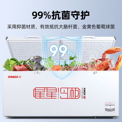 星星（XINGX）冰柜商用大容量商用一级能效518升528GE冷柜卧式冷藏冷冻转换卧保鲜冷柜雪糕店超市餐饮店 【中梁除霜】718L商用冷柜728GE