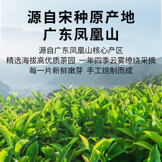 Zhengshanding Oolong Tea Inheritance Phoenix Danzhu Song Crop Special 250g Medium Fire Gift Box Quality Tea Gift Gifts Premium Products