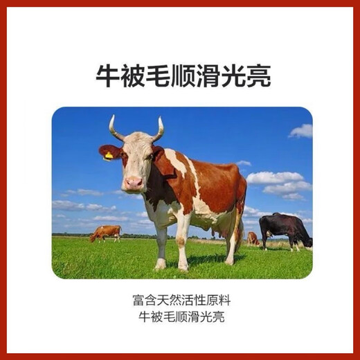5% Cow Premix Dabeinong Core Technology Estrus Breeding Nutritional Lactation Prevent Postpartum Paralysis 1 pack Get 50Jin Jin is equal to 0.5kg