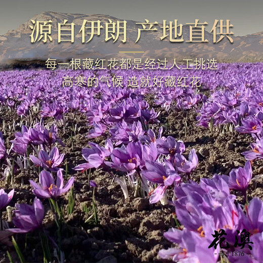 北京同仁堂【特级藏红花特长丝】正宗伊朗t特级藏红花真品头茬新货 【特级】 6A特级野生头茬藏红花2瓶+镊子