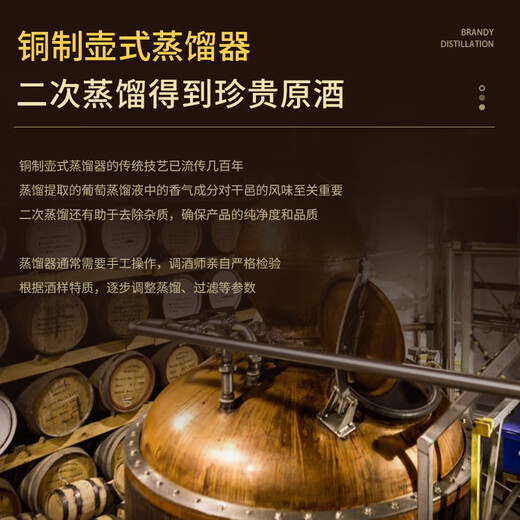 派斯顿法国进口洋酒白兰地XO 40°烈酒 秘密 原酒进口 礼盒展示送礼酒 柏纳佳帝干邑 700mL 1瓶