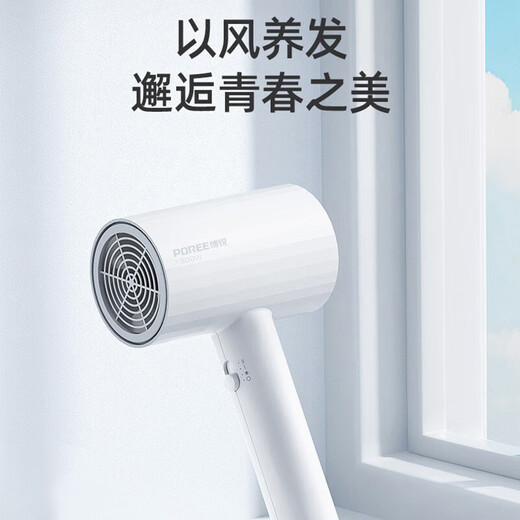 FLYCO hair dryer, household high-power hair dryer, constant temperature hair care, compact and convenient, three-speed hot and cold air drying, high power, Flyco's Borui brand PH1627