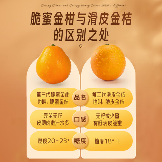京觅广西融安 第三代脆密金桔 5斤装 单果41g+ 源头直发包邮