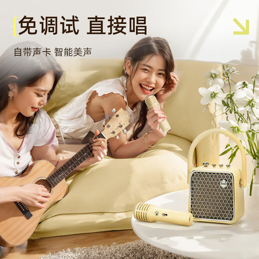 Divoom click sound conspicuous package karaoke speaker with dual microphone sound card all-in-one speaker microphone bluetooth audio home karaoke singing artifact home KTV live broadcast Goddess Day set