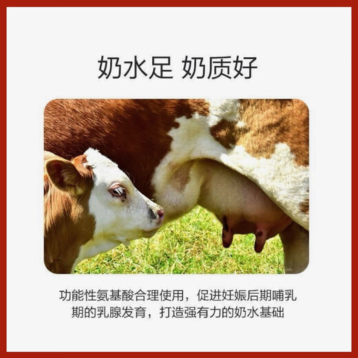 5% Cow Premix Dabeinong Core Technology Estrus Breeding Nutritional Lactation Prevent Postpartum Paralysis 1 pack Get 50Jin Jin is equal to 0.5kg