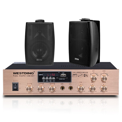 
Westin speaker audio Bluetooth amplifier wall-mounted speaker ceiling audio store commercial supermarket dance studio restaurant radio background music B04 one to two [shop audio]