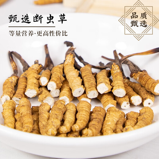 藏区高海拔冬虫夏草 精选大号断虫草滋补佳品 全虫纯肉节10克 精品大号断草【有草头】