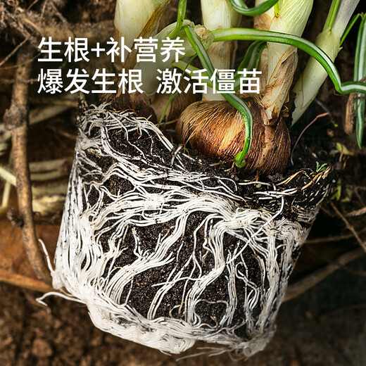 Stanley Rapid Rooting Powder Plant Universal Tree Transplanting Powerful Cutting Special 100g
