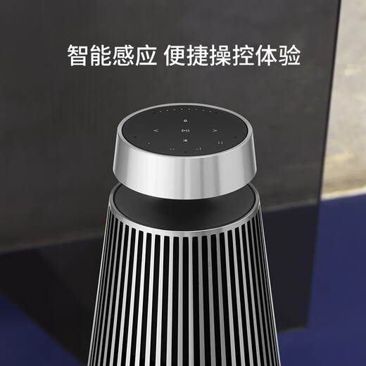 B&O Gong Jun endorses Beosound 2 3rd Gen 3rd generation home theater audio HIFI home Bluetooth speaker natural color national subsidy holiday gift