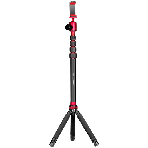 MANBILY MT02LH Mobiltelefon Ständer Live Shooting Selfie Stick Tripod Projector Landing Online-Kurs Outdoor Shooting MT-02LH