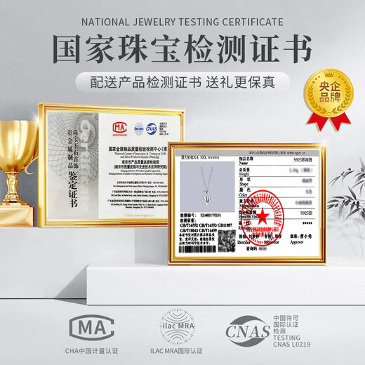 China Gold S925 Silver Whale Fall Necklace for Men Simple Trendy Pendant Practical Birthday Gift for Boyfriend Classic Red Gift Box