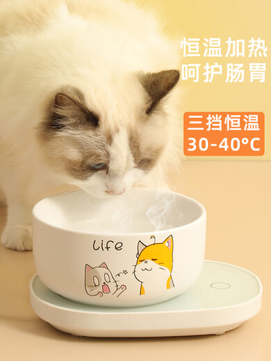 华美龙猫咪恒温加热器水碗加热垫宠物加热饮水机杯垫狗狗冬季酸奶机喝水 [800ml]白色对话喵陶瓷碗+三挡