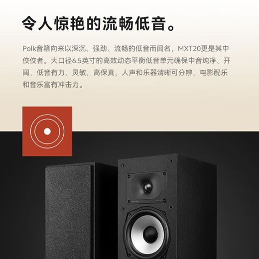 Polk (Polk) [Subvention nationale] MXT20 + Tianlong X1700 Amplificateur audio de base