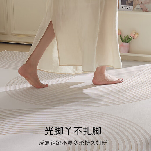 布迪思地毯卧室大面积满铺家用客厅毯沙发茶几轻奢防滑毯简约可定制地毯 现代6174【加厚圈绒】 240*400CM【属于定制不退换】