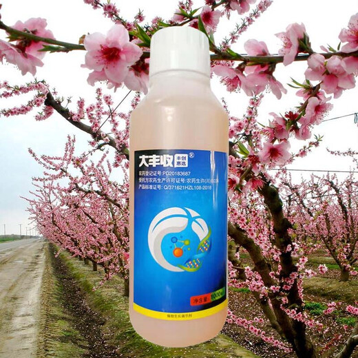 Dafengshengfengchuanghui chooses 2% benzylaminopurine cytokinin blastin to increase fruit setting rate plant growth regulator 1000ml