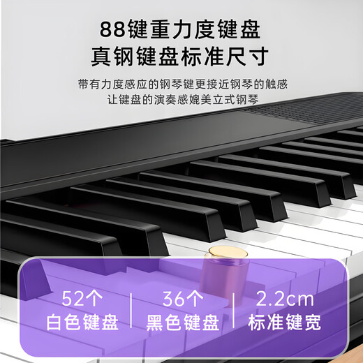 帕茵思88键电钢琴力度便携初学者电子琴专业考级成人幼师教学钢琴MIDI键 黑色基础款+88力度键 官方礼包