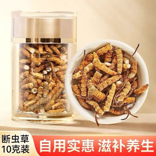 藏区高海拔冬虫夏草 精选大号断虫草滋补佳品 全虫纯肉节10克 精品大号断草【有草头】