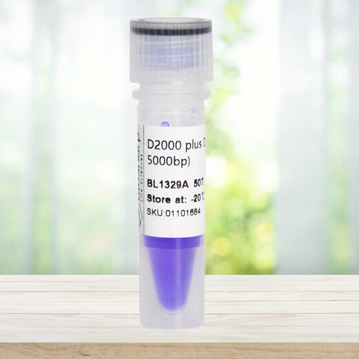 BIOSHARP D2000plusDNA Marker molecular weight standard (100-5000bp) BL1329A 50T
