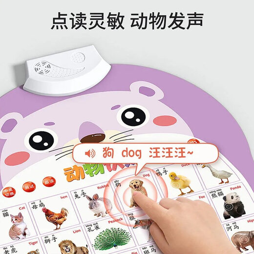 儿童早教有声挂图幼儿园宝宝拼音识字字母表发声启蒙点读玩具贴墙 #学前：5张【幼儿启蒙套装】