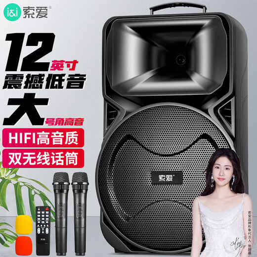 Sony Ericsson (soaiy) SA-X81 square dance high-power subwoofer outdoor karaoke electric guitar instrument speaker Bluetooth pull rod microphone amplifier microphone stall stall speaker 12 inches