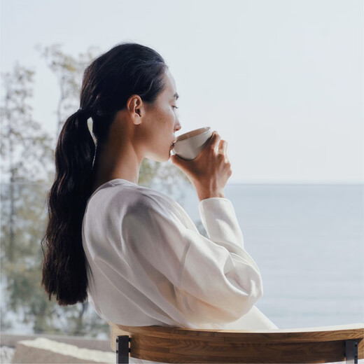 BASAO Oolong tea red oolong green oolong black oolong tea bag tea bag tea 2.5g*12 bags red oolong tea bag