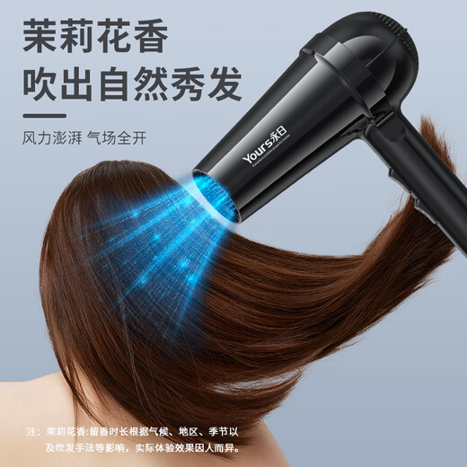 Yongri (yongri) household hair dryer 2100W professional high-power floral dormitory family high wind constant temperature hair dryer national subsidy Mother's Day gift