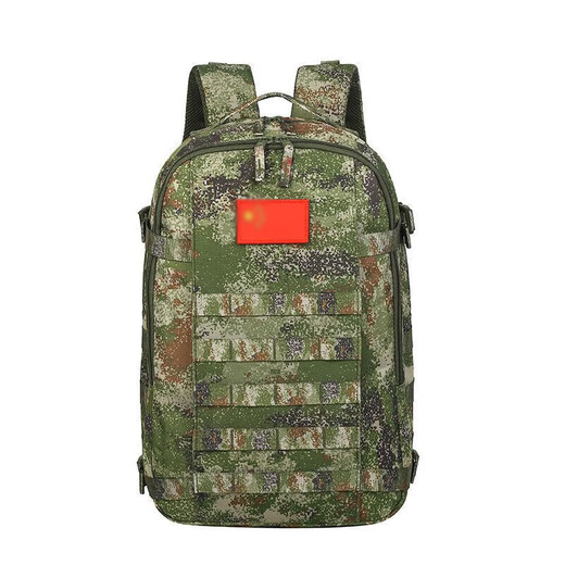 Nicht gestoppt. Rentired Souvenirs 20-Zoll-Graukoffer + Kristallornamente + Rucksack + rotes Band WZHL-15901