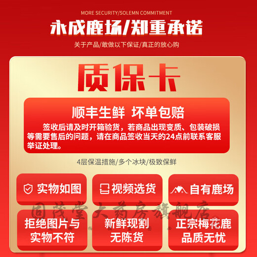 鲜梅花鹿茸 整枝可切片 2024新割头茬含血二杠 泡酒煲汤炖菜均可 【优质鲜鹿茸695克一支】