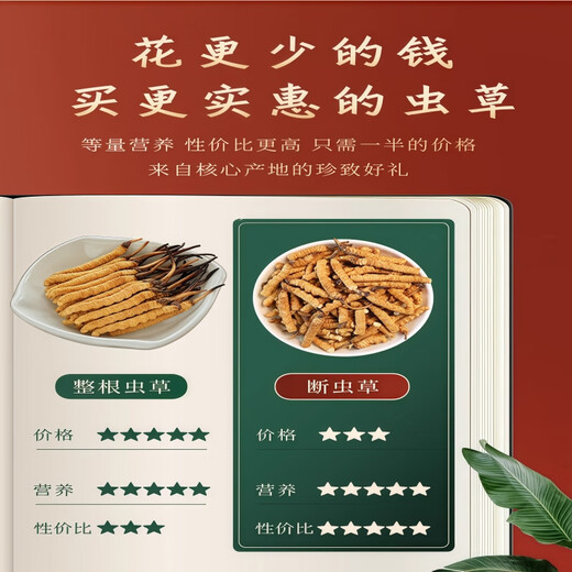 [Inspección de calidad de apoyo] 10 gramos de césped roto grande Cordyceps sinensis Cordyceps sinensis Cordyceps sinensis y fertilizarse. Cordyceps sinensis 10 gramos empacan un gramo de cabello 11 gramos 11 gramos