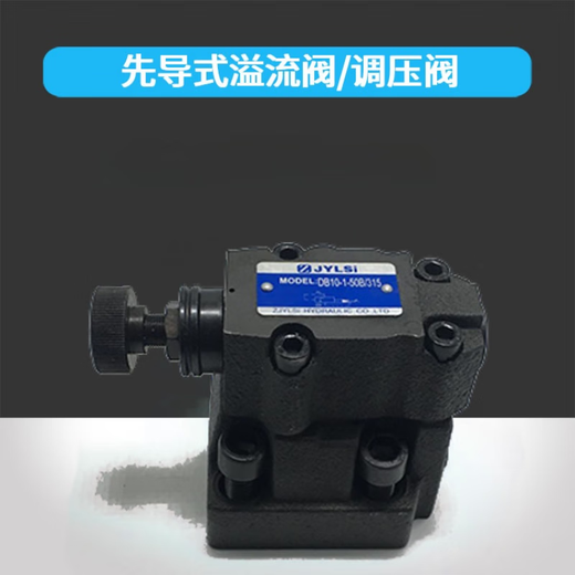 DB10-1-50/31.5 pilot relief valve DB30-1-30/100 200 DB20-50B/315 DB30-1-50/100