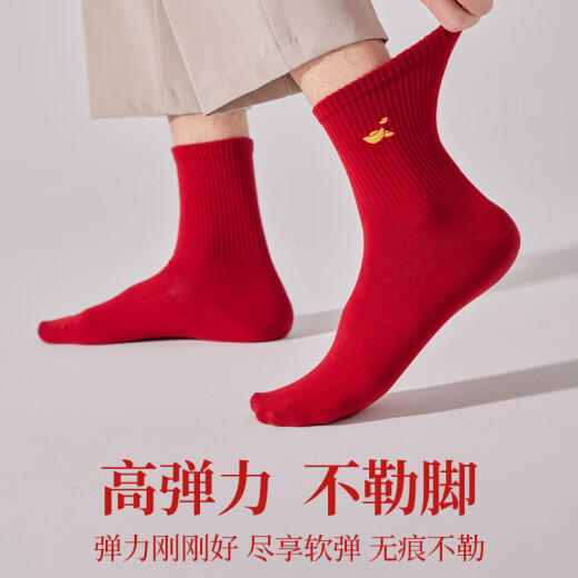 
The rhythm of the heart TEMPO OF HEART2025 new socks for the year of the year of the zodiac men's year of the snake red mid-tube socks pure cotton sweat-absorbent breathable stockings wedding gift for the year of the zodiac red socks [1390L-5B] 5 pairs, one size [Wear red socks - good luck]