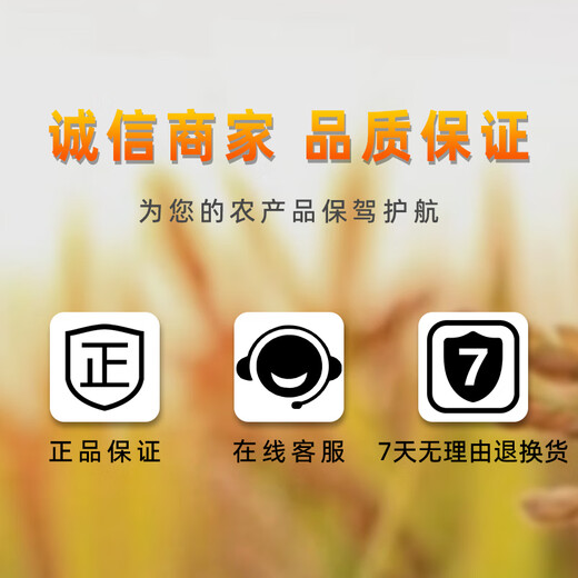 Longdeng Aizumi Propionyl Brassinolide Rice Pepper Jujube Tobacco Conditioner Pesticide 500ml/bottle