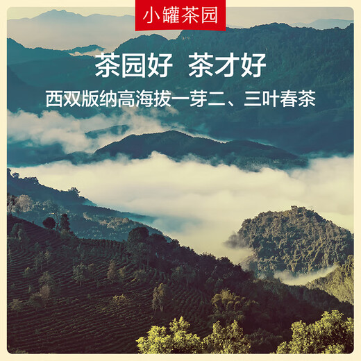 Xiaoguan Tea Garden Liujin Serie Pu'er Ripe Tea Lose Tee/Guangxi Hengxian Jasmine Tee 2 Dosen Kombination 120g