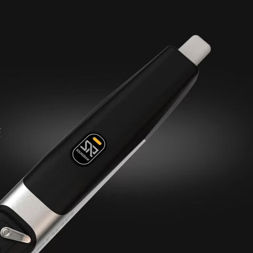 Shengrui SR8000 ELECTRICA TUBE BLAJETSHIP NUEVO MODELO DE PERSONAS DE MEDIO Y MEJORES Instrumento musical para principiantes Saxofón eléctrico Flauta de seda