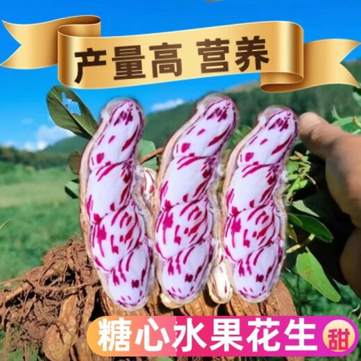 Candied Fruit Peanut Seeds Colorful Peanut Seeds Shelled Fresh Peanut Seeds Colorful Peanut Seeds Candied Fruit Peanut Seeds 100g Selected Belt