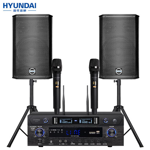 HYUNDAI现代BK10专业中小型会议室音响套装壁挂式音箱蓝牙功放无线话筒组合教学培训店铺音响系统设备 【两音响/双话筒】会议音响套装（20-120平）