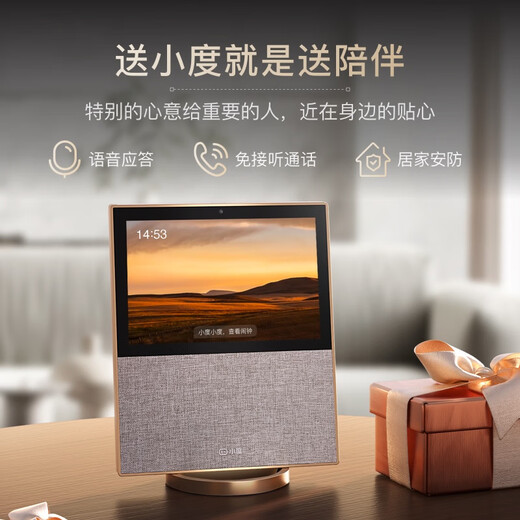 小度智能屏第二代蓝牙音箱小电视居家用大屏语音智能音响 咨询838【X10金色二代】+钢化膜+