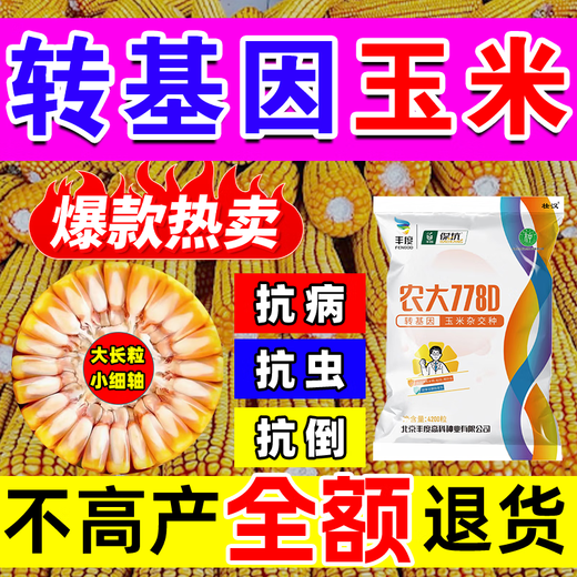 Starker Mann, gentechnisch veränderte Maissamen, hoher Ertrag, kurzer Stiel, Lagerungsresistenz, Trockenheitsresistenz, Krankheitsresistenz, Maiszünslerresistenz, großer Stock, echter Mais, nationale Zulassung gentechnisch verändert, 4100 Körner