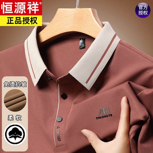 恒源祥中年男士长袖t恤春秋季新款休闲宽松翻领打底POLO.衫爸爸装上衣 16823浅绿 M 165【建议95-120斤】