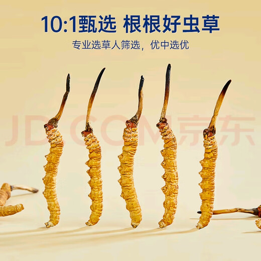 冬虫夏草（顺丰直发)藏区高海拔冬虫夏草礼盒送礼高端大气上档次 那曲虫草4根1克20条装
