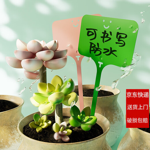 Shipton nursery flower pot plastic succulent label flower gardening ground brand potted plant name sign waterproof small plug card yellow 10 (15cm)