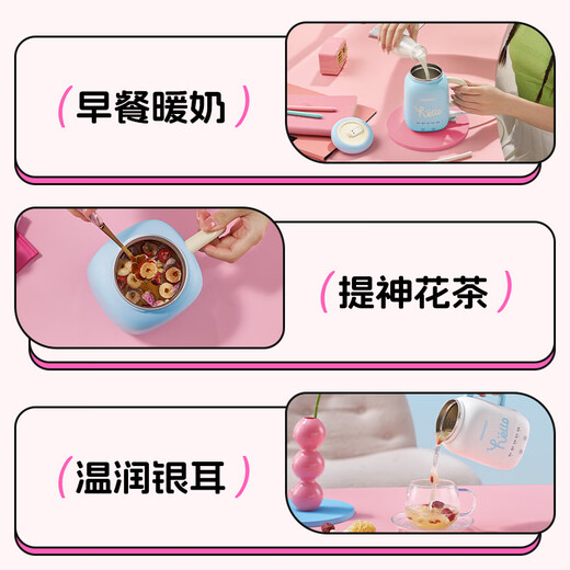 DAEWOO mini health pot office health cup boiling water boiled tea scented tea white fungus warm milk portable water boiling cup thermal insulation constant temperature 304 stainless steel holiday gift 300ml D15-TTF