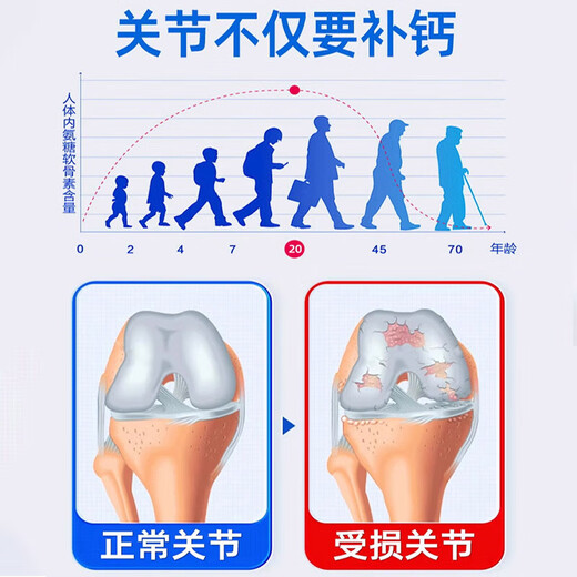 北京同仁堂天麻杜仲叶平卧菊三七通络片天麻三七通络片中老年关节疼痛养护 三瓶【周期装】 官方店京自旗舰營東