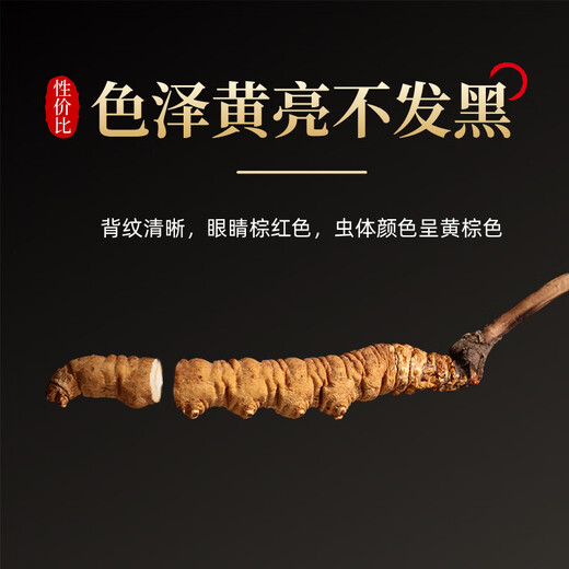宝明堂冬虫夏草1g&5g滋补虫草高端补营养品送长辈老人商务节日礼品 1g/瓶