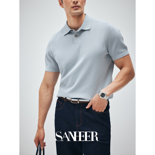 SANHEER【意式绅士】120S长绒棉透气挑孔工艺 夏季翻领短袖T恤衫 DAT983 豆沙绿 2XL /54